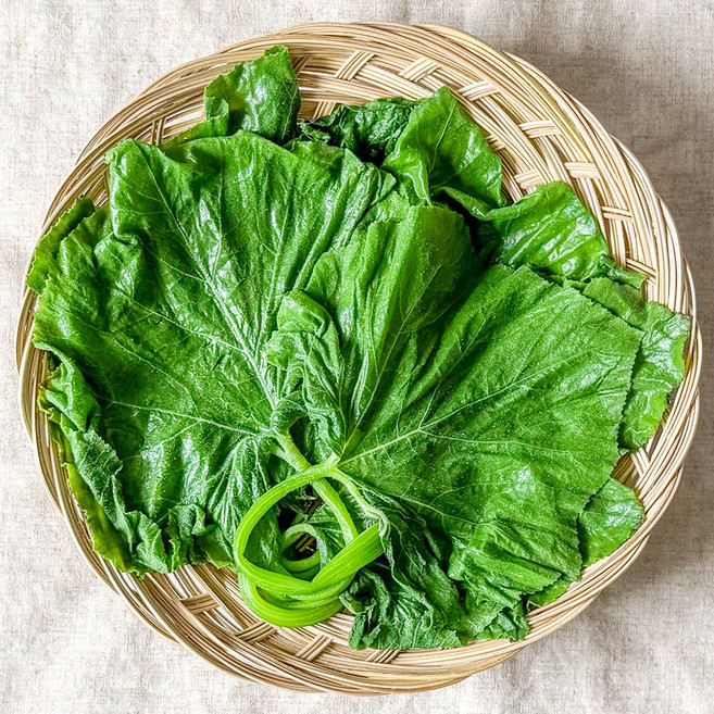 백화점납품 국산 데친 호박잎 삶은 호박잎, 1박스, 400g