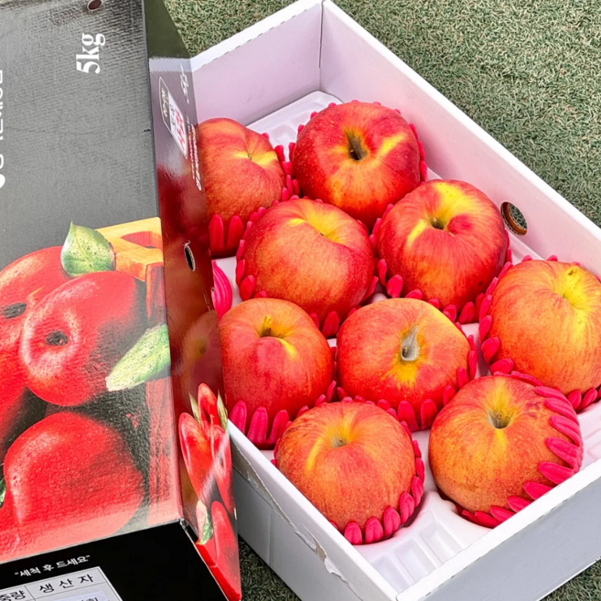 달달과수원 고당도 사과 선물세트 5kg 상과 14~16과, 1박스