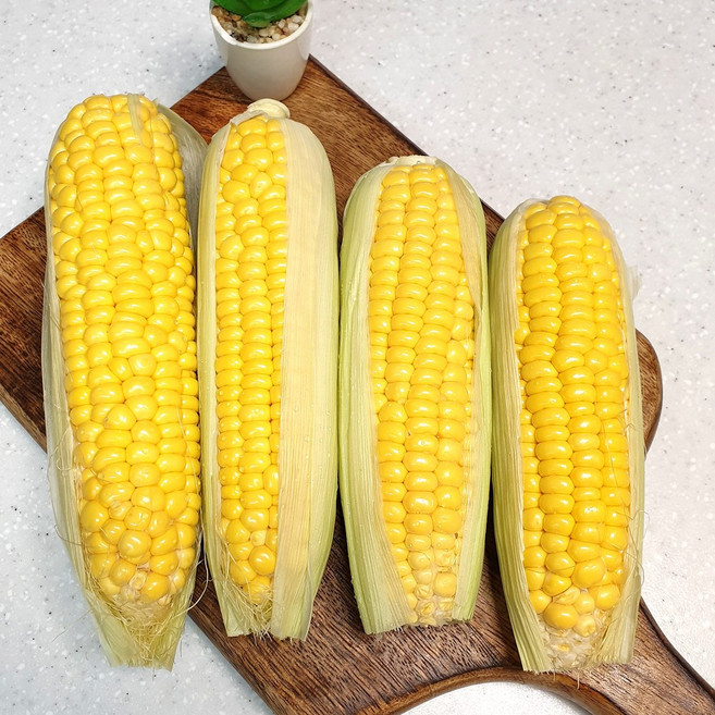 [직접까서 손질한] 의령 꿀당 프리미엄 초당 옥수수 백화점납품용, 9) 특품 껍질안깐 초당옥수수 10개, 1개