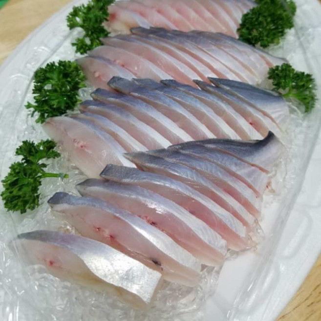 국내 횟감용 손질병어 생물병어 병어회 세꼬시 500g 9미 필렛 초장포함, 1개, 손질후 500g 내외(9미)