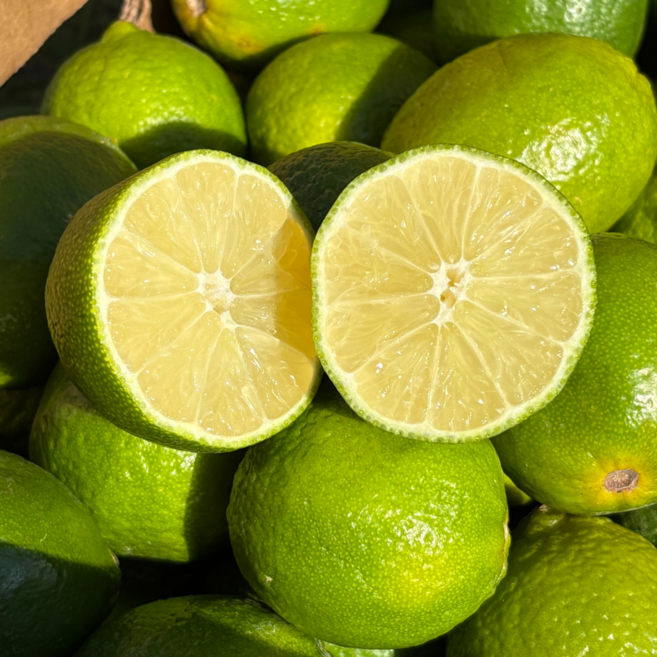프리미엄 수입 라임 신선과일 칵테일용 상큼한 라임 중과, 1박스, 10개