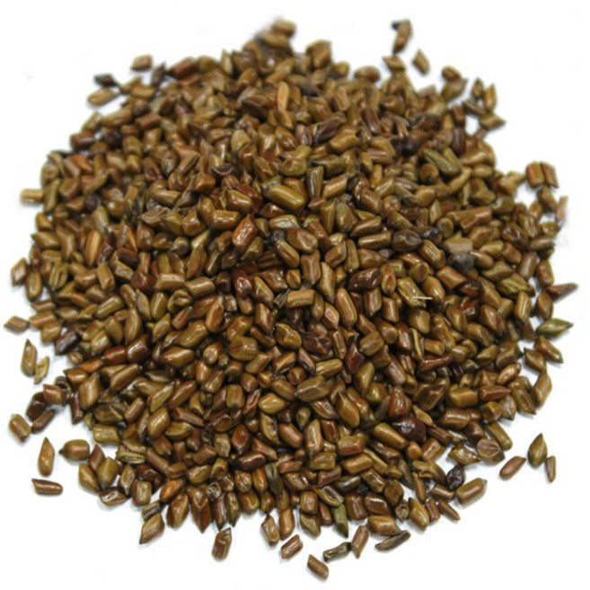 자연초 인도산 볶은 볶음 결명자 차 600g, 2개