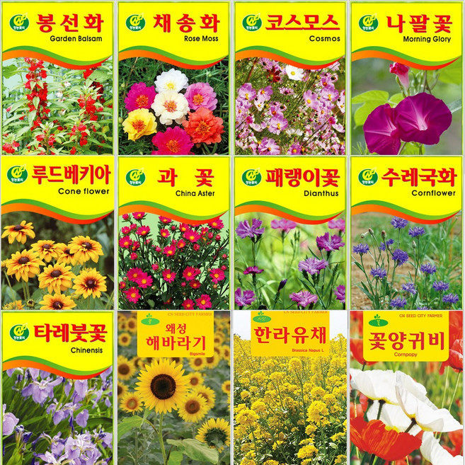 [씨앗모음] 꽃씨 대용량 100g~, 17.타레붓꽃 100g, 1개