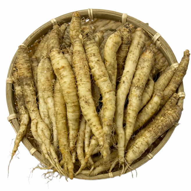 더덕 (소사이즈 ) 신선더덕 세척더덕 피더덕 중국산더덕 수입더덕, 1개, 1kg