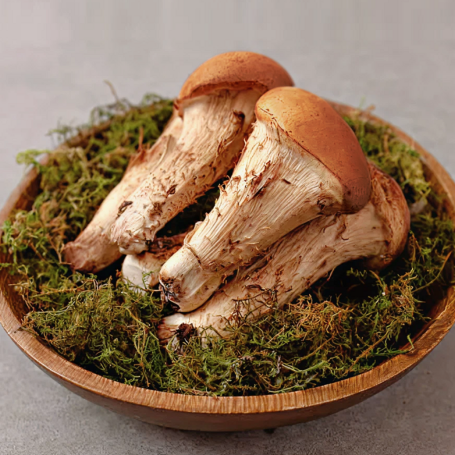 [버섯1번지] 재구매율 높은 국내산 무농약 참송이버섯 당일수확 당일발송, 1박스, 실속형(못난이) 500g