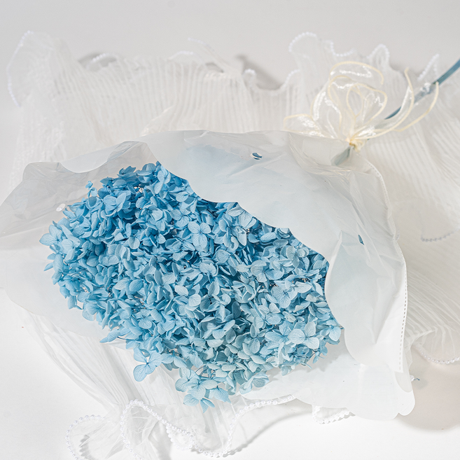 마음담은집"풍성한"보슬보슬 프리저브드 안개꽃/수국, 수국 블루 1단