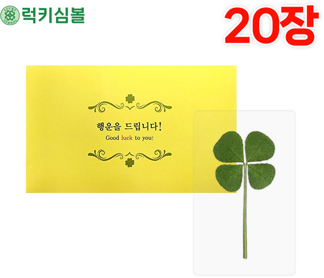 [럭키심볼] 행운의 왕네잎클로버 생화 투명 코팅카드+봉투세트 합격기원/네잎클로버카드/행운카드/수능선물/네잎클로버굿즈/행운부적/응원선물/행운의선물/대량맞춤, 02.왕네잎 투명코팅카드+봉투세트 20장