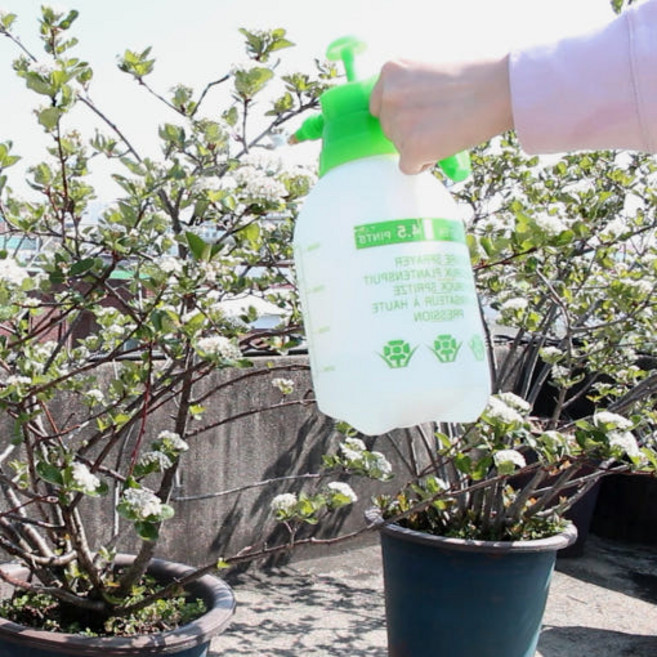 2L 압축 분무기 (원예용), 1개