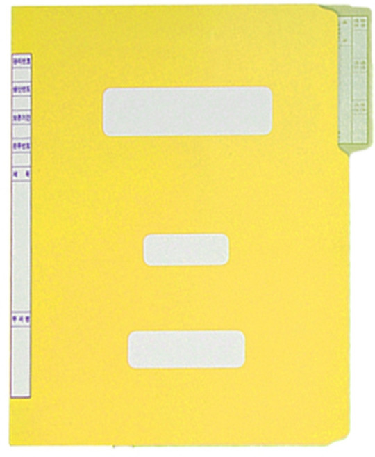 화일사랑 A4 컬러 정부화일, 10개, 01-노랑