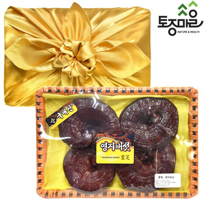 토종마을 영지버섯 선물세트 보자기포장 300g, 1개