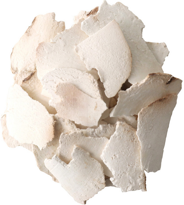 동의한재 중국산 햇 백복령, 3kg, 1개