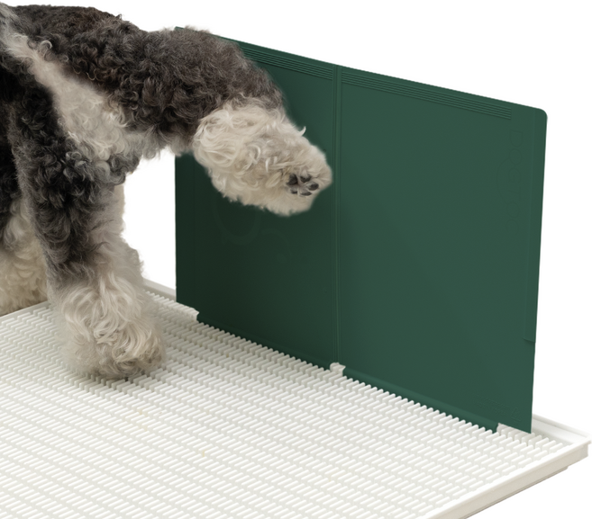 독톡 강아지 수컷 실내 마킹 방지 마킹수비대, 올리브그린, 1개