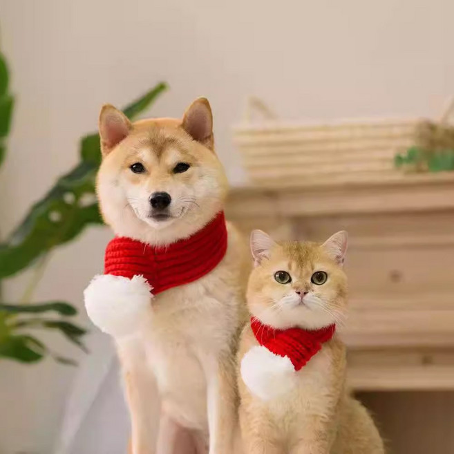 이지유 댕냥이 방울 니트 목도리 강아지 고양이 겨울 머플러 크리스마스, 1개, 레드