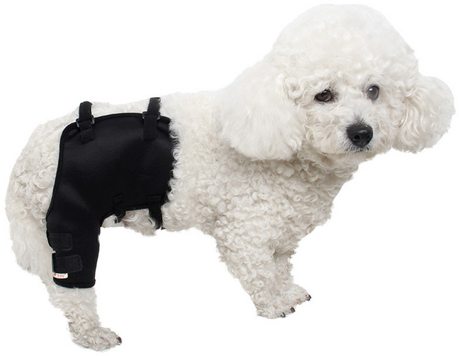 LongFatoys 강아지 슬개골탈구 고관절탈구 십자인대 관절 슬개골보정 밴드 깁스 강이지슬개골보호대, 1개, 오른쪽 뒷다리