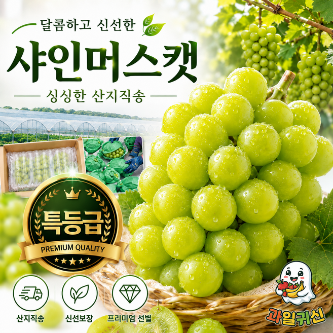 고당도 샤인머스캣, 1박스, 특등급 800g