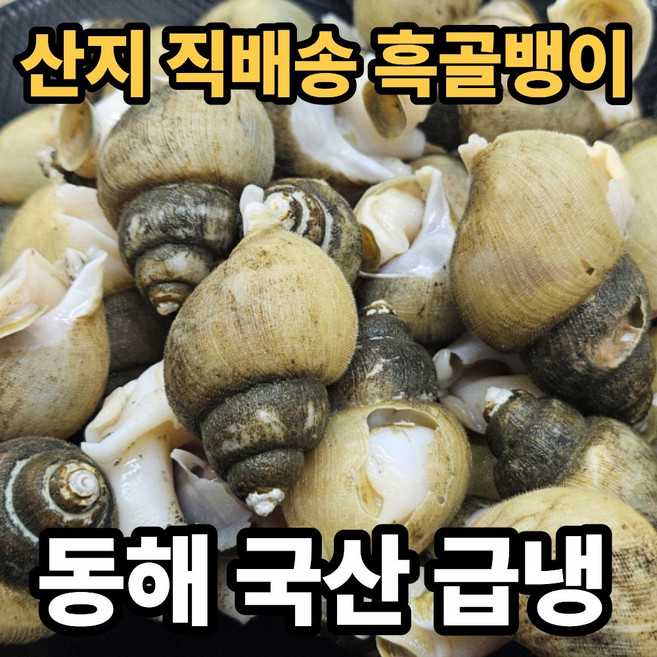 [국산] 동해 급냉 흑고동 흑골뱅이 흑고둥, 1박스, 1kg