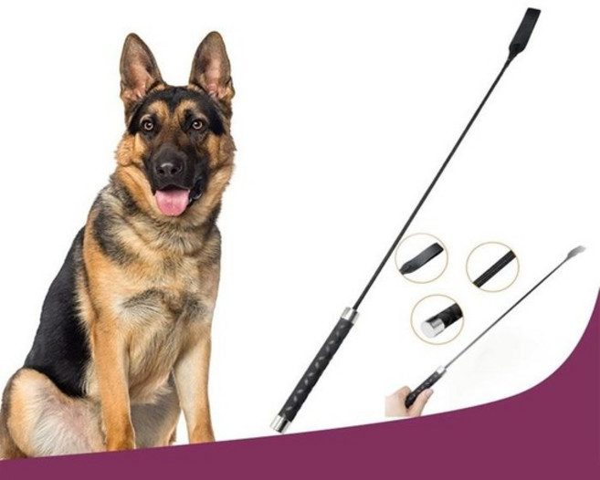 강아지 고양이 애견 영점 훈련 봉 스틱 회 훈육 교육, WB9B309_ONE_COLOR／FREE