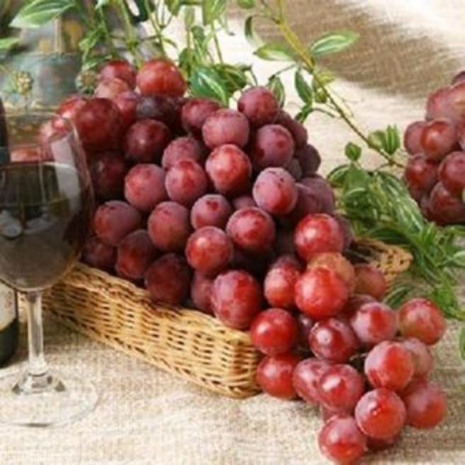 달달과수원 거봉 한박스 레드글로브, 1개, 8kg