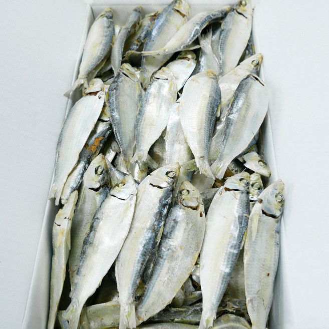 가락시장521 햇 디포리 상급 밴댕이 국물용 육수용 다시멸치 (13-15cm), 1개, 1.5kg