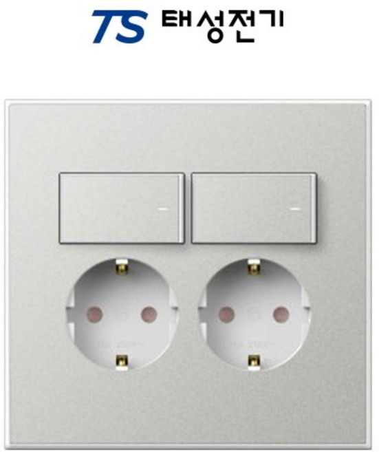 태성전기 틸인스 화이트실버 스위치 부착 2구 콘센트