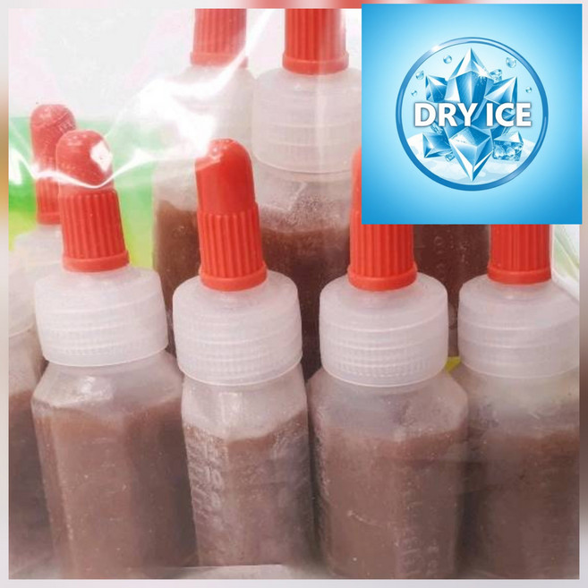 브라인슈림프 시럽통 10개 1세트+중형급여통 1개 (냉동포장비 무료 브라인쉬림프 부화 냉브 안시 구피밥), 시럽통 10통 1세트(중형급여통 불포함)