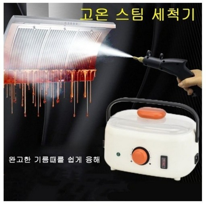 고온 고압 스팀청소기 주방용 진드기제거 스팀기, 220V