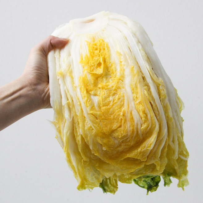 강원도 평창 괴산 절임배추 20kg 국산 천일염 김장 절인배추, 2-3일후 도착 (개별안내), 1개