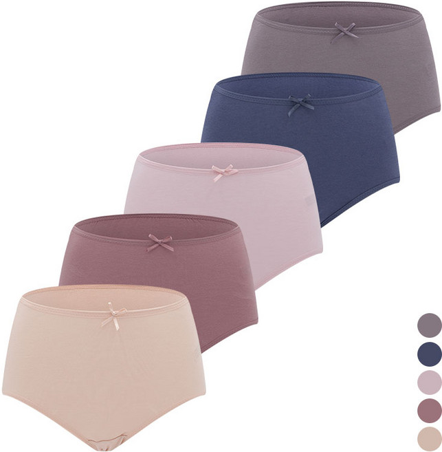 제임스딘 국내생산 부드러운 빅사이즈 맥시팬티 5매입