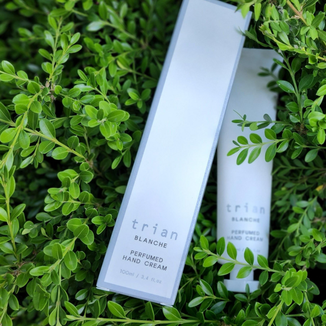 끈적임 없는 비누향 퍼퓸핸드크림 100ml 끈적임 zero 향기 up, 1개