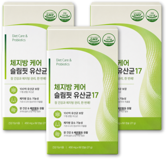 체지방 케어 슬림핏 유산균 12EA 구매 시 BNR17 비에날씬 프로틴 정품 증정 데일업, 3개, 60정