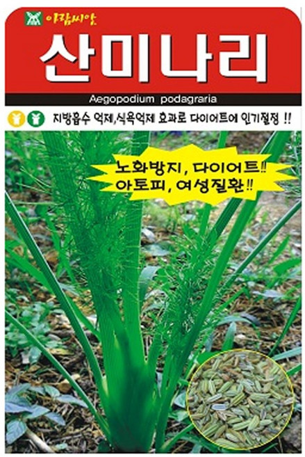 아람종묘 산미나리 씨앗, 2개