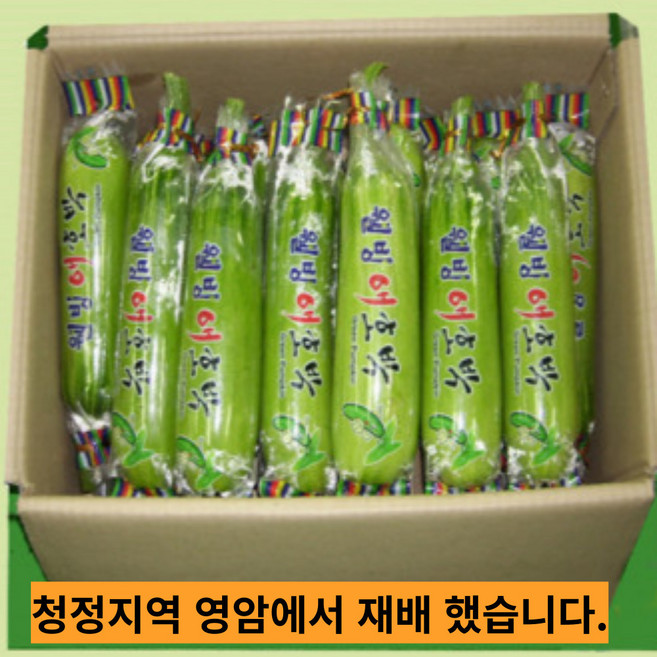 국내산 애호박 특품, 1개, 애호박10개