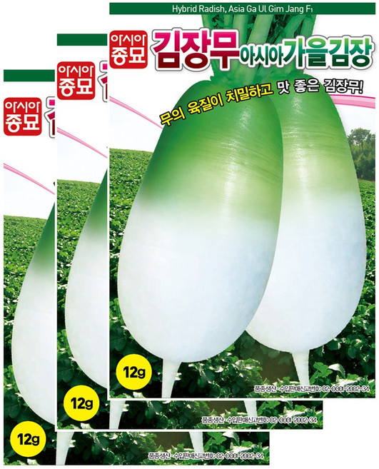 아시아종묘 씨앗 무 아시아가을김장 12g, 3개