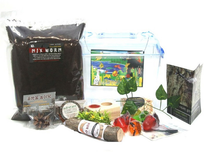 웜팩토리 사슴벌레 장수풍뎅이 키우기 공용 사육세트, 번식, 1세트