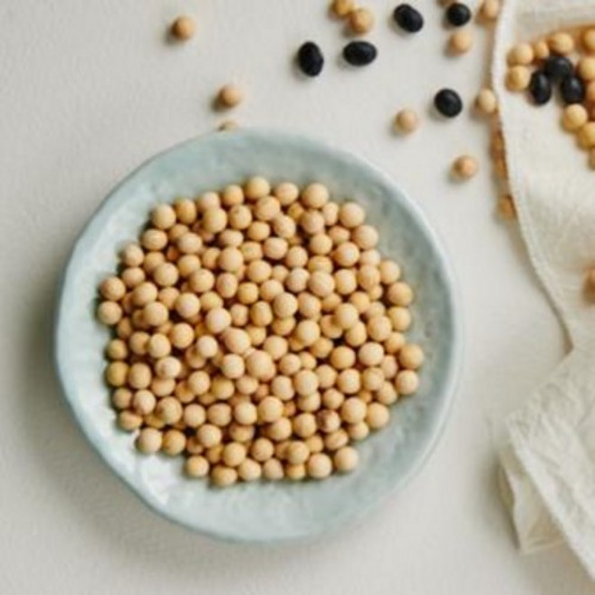 파주 장단콩 백태 1kg 2025년산 햇콩 Non GMO 대두 메주콩