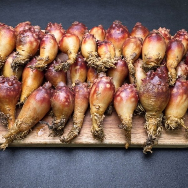 국내산 멍게 2+1kg 총 3kg, 1개