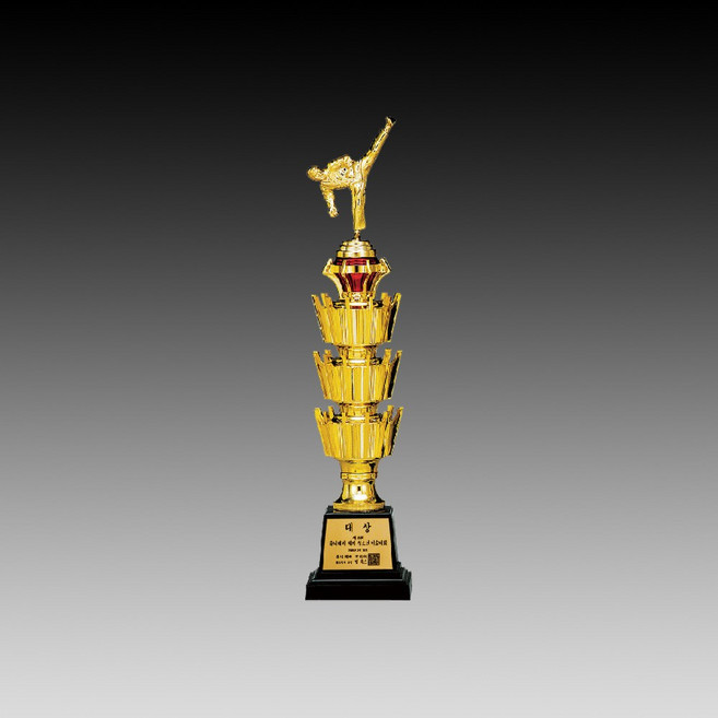 트로피 골프 스포츠 수영 볼링 테니스 배드민턴 태권도 축구 야구 감사패 AT202, D