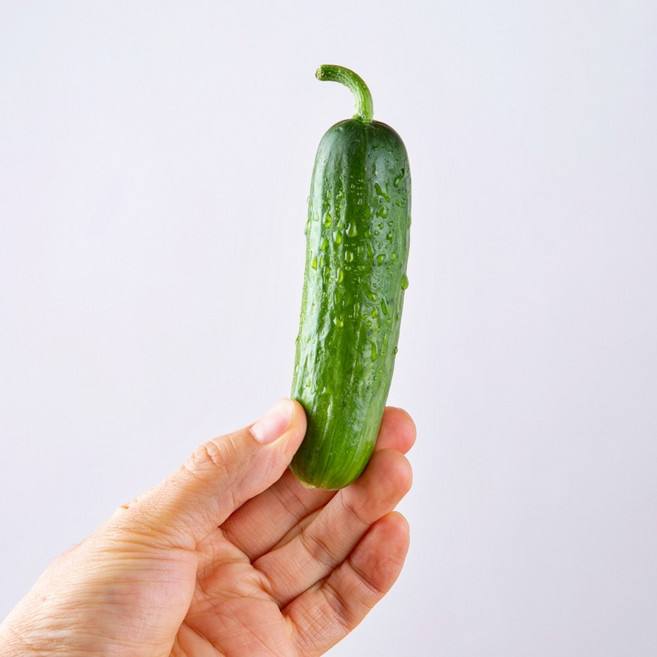 농장직송 스낵 미니오이 2kg, 2kg 스낵오이, 1개
