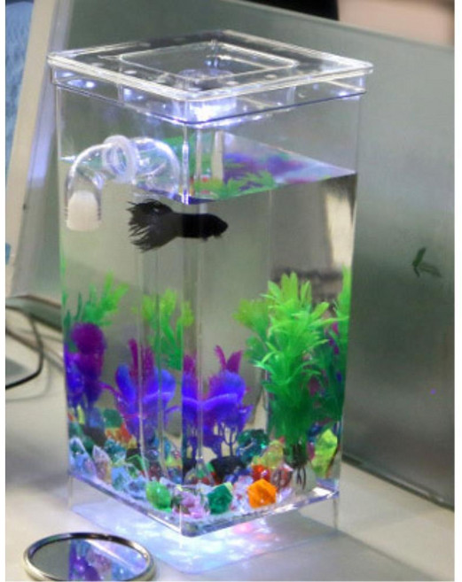물고기키우기 자동 물청소 LED 미니어항세트 탁상어항, 1개