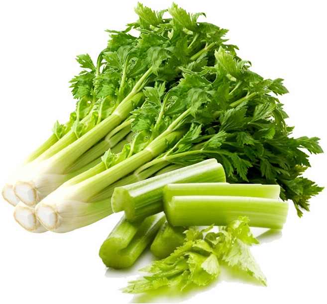 [산정] 싱싱한 국내산 샐러리, 국내산 샐러리 2kg, 1박스