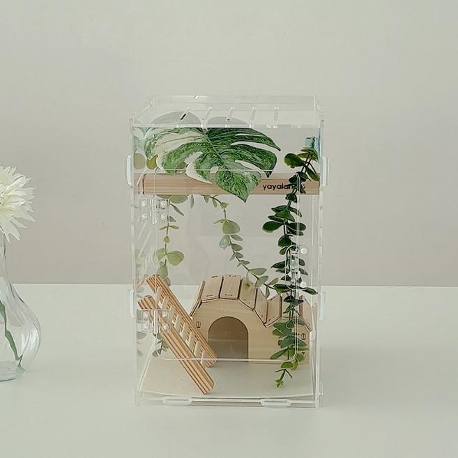 2020 네추럴 세트 도마뱀 사육장 세트 아크릴 크레스티드게코 파충류 크레, 1개, 모던 케이지 세트(202030)