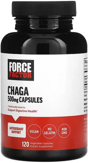 포스팩터 차가버섯 500mg 베지 캡슐 120 정, 1개, 120정 - 쿠팡