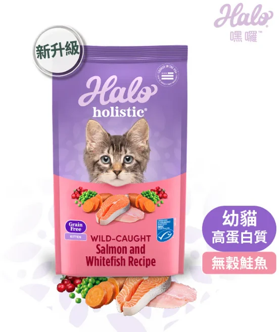 Halo 幼貓 無穀野生鮭魚雞肉配方飼料, 1.36kg, 1個, Salmon and Whitefish