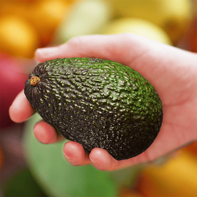 수입사직송 최상급 왕특대 생아보카도 직수입 후숙 쉬운 대과 신선 아보카도 과일, 1개, 뉴질랜드 아보카도 특대과 10과