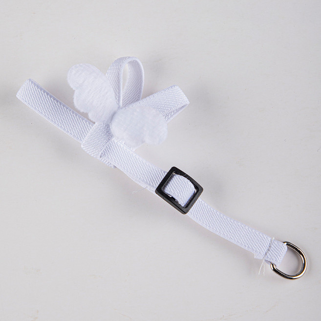 까마느 앵무새 작은 날개 소형 대형 앵무 하네스 리드줄 목줄, 1개, 흰색