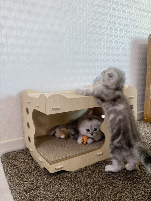 더멍냥 고양이 숨숨집 스크래쳐, 이중스크래쳐형, 1개