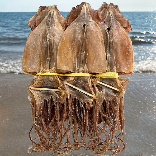 바다어보 국산 햇 마른오징어 술안주 밑반찬 건오징어, 1박스, 8~10마리 600g 내외(중)