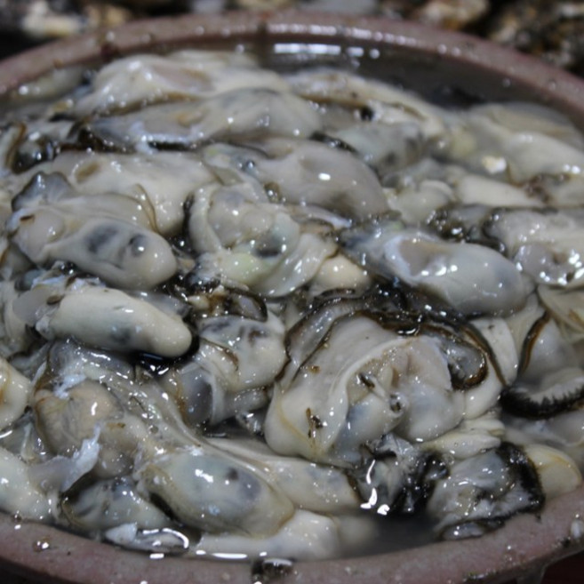 제철 산지직송 통영 생굴 1kg, 1개, kg