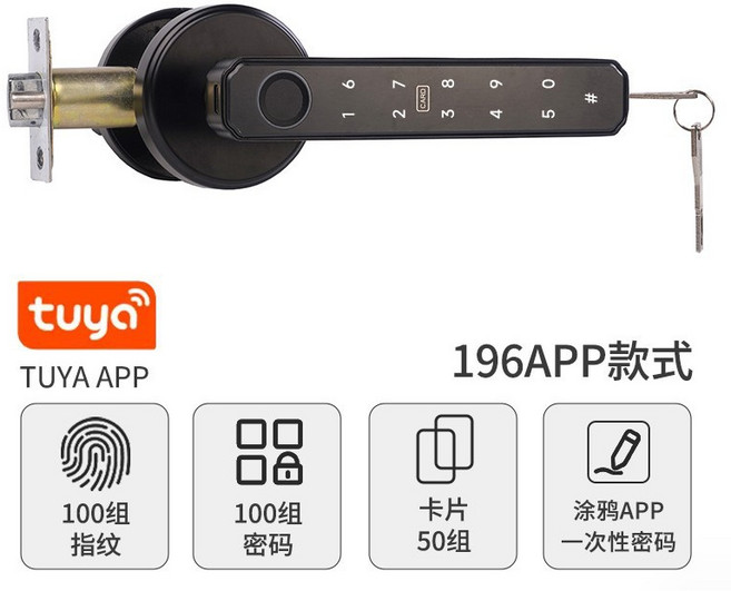 跨境直供室內木門塗鴉指紋鎖一握開家用電子鎖球形智能鎖密碼鎖, 1個, 196APP黑色高配版(指紋+密碼+刷卡+塗鴉APP):3