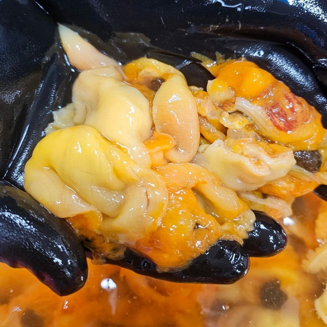 26년 작업 생산자직판 통영 횟감용 손질 깐 멍게, 1kg(실중량 800g), 1개